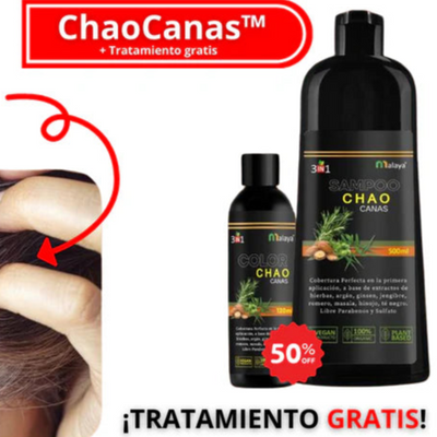 DT Shop  Tienda